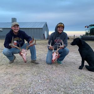 Meet your Posher, Clay